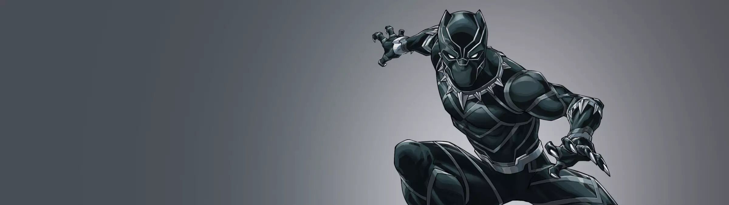Black Panther Character Banner